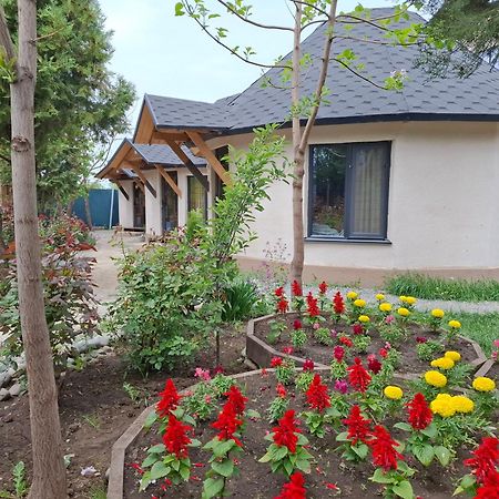 Happy Nomads Yurts & Hostel Karakol Bagian luar foto