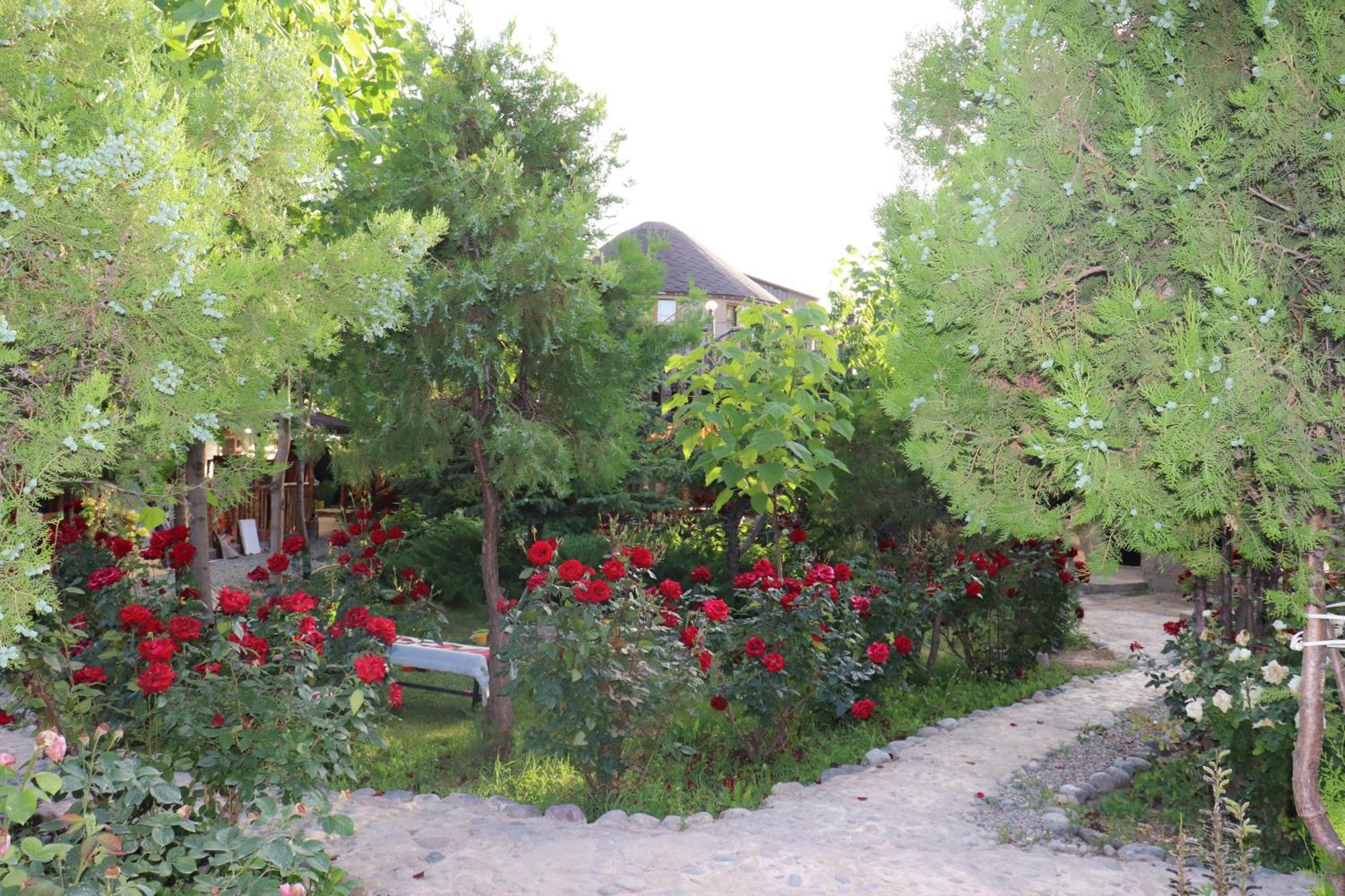 Happy Nomads Yurts & Hostel Karakol Bagian luar foto