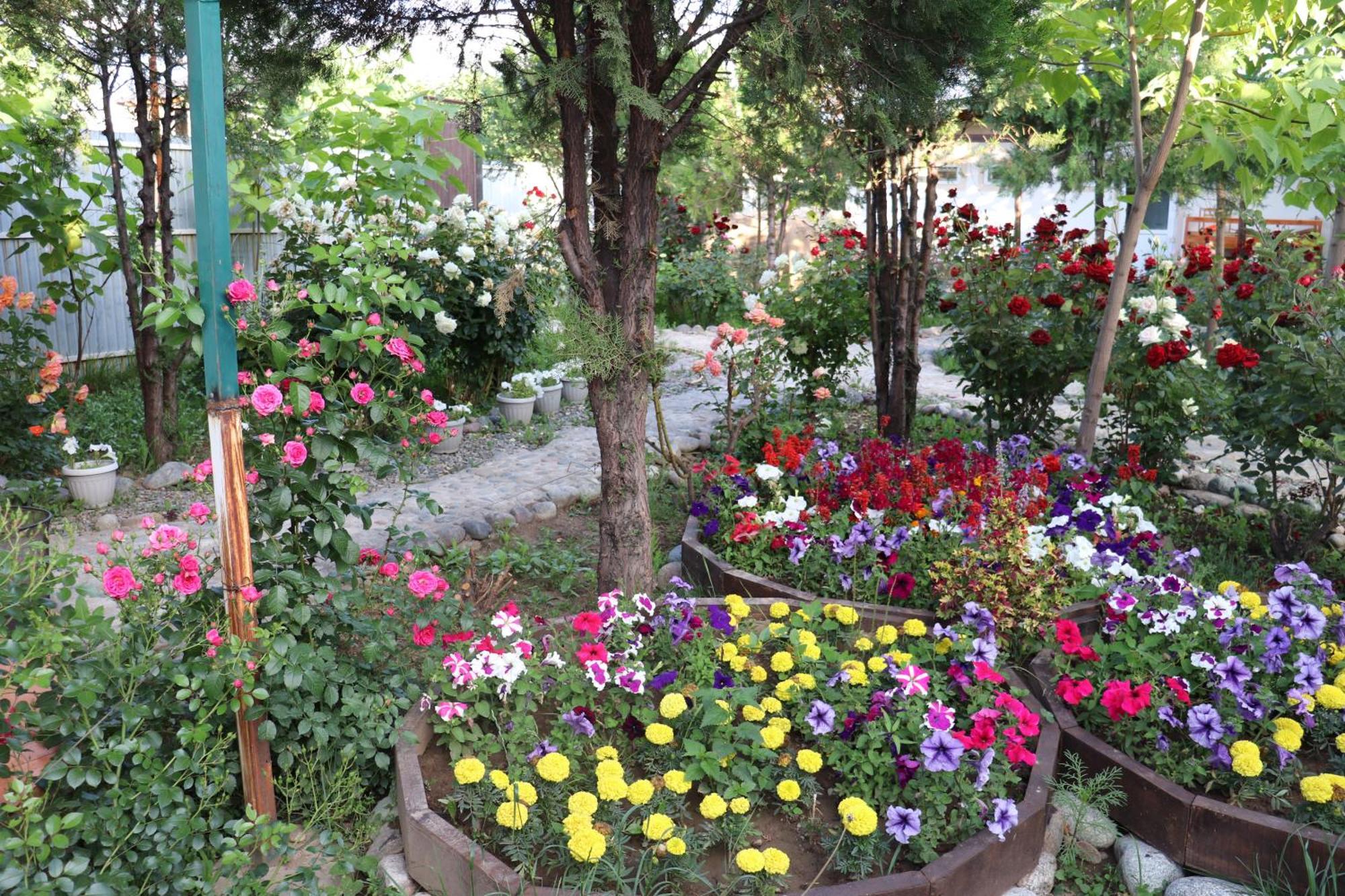 Happy Nomads Yurts & Hostel Karakol Bagian luar foto