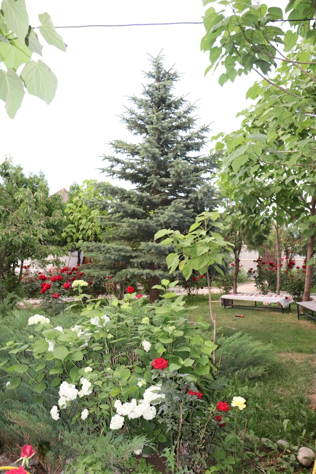 Happy Nomads Yurts & Hostel Karakol Bagian luar foto