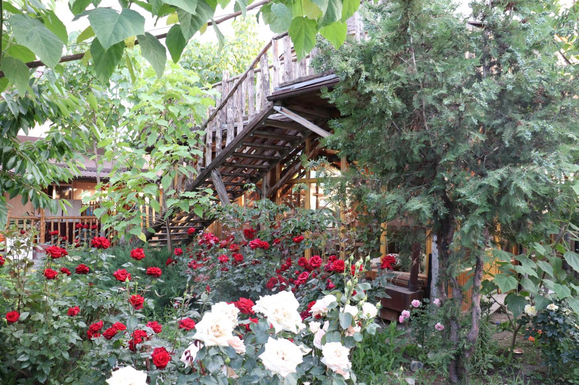 Happy Nomads Yurts & Hostel Karakol Bagian luar foto