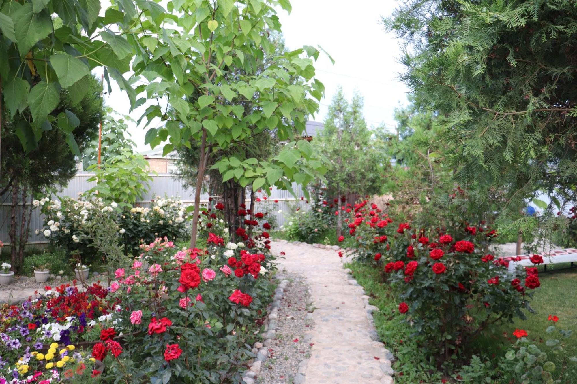 Happy Nomads Yurts & Hostel Karakol Bagian luar foto