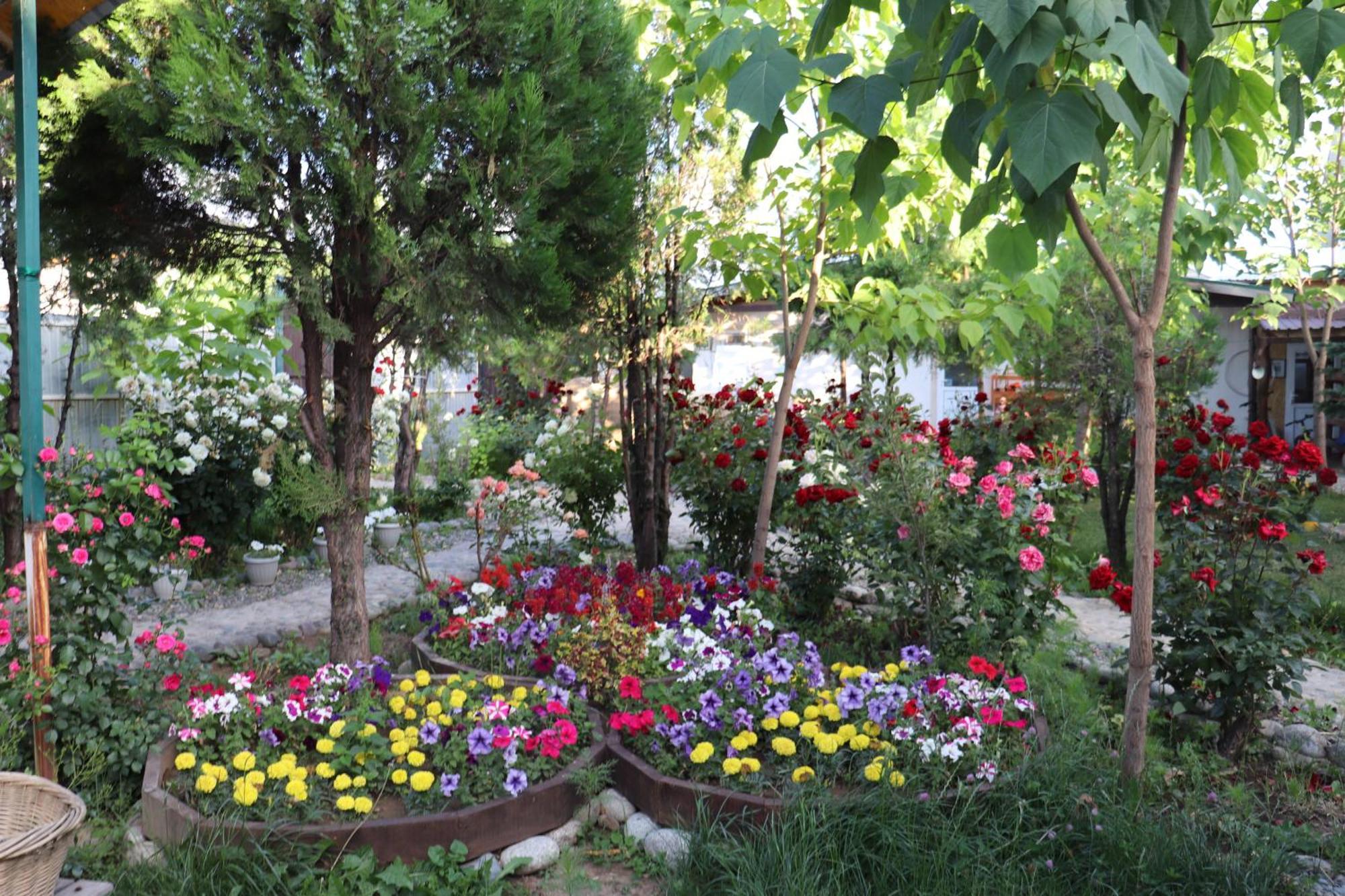 Happy Nomads Yurts & Hostel Karakol Bagian luar foto
