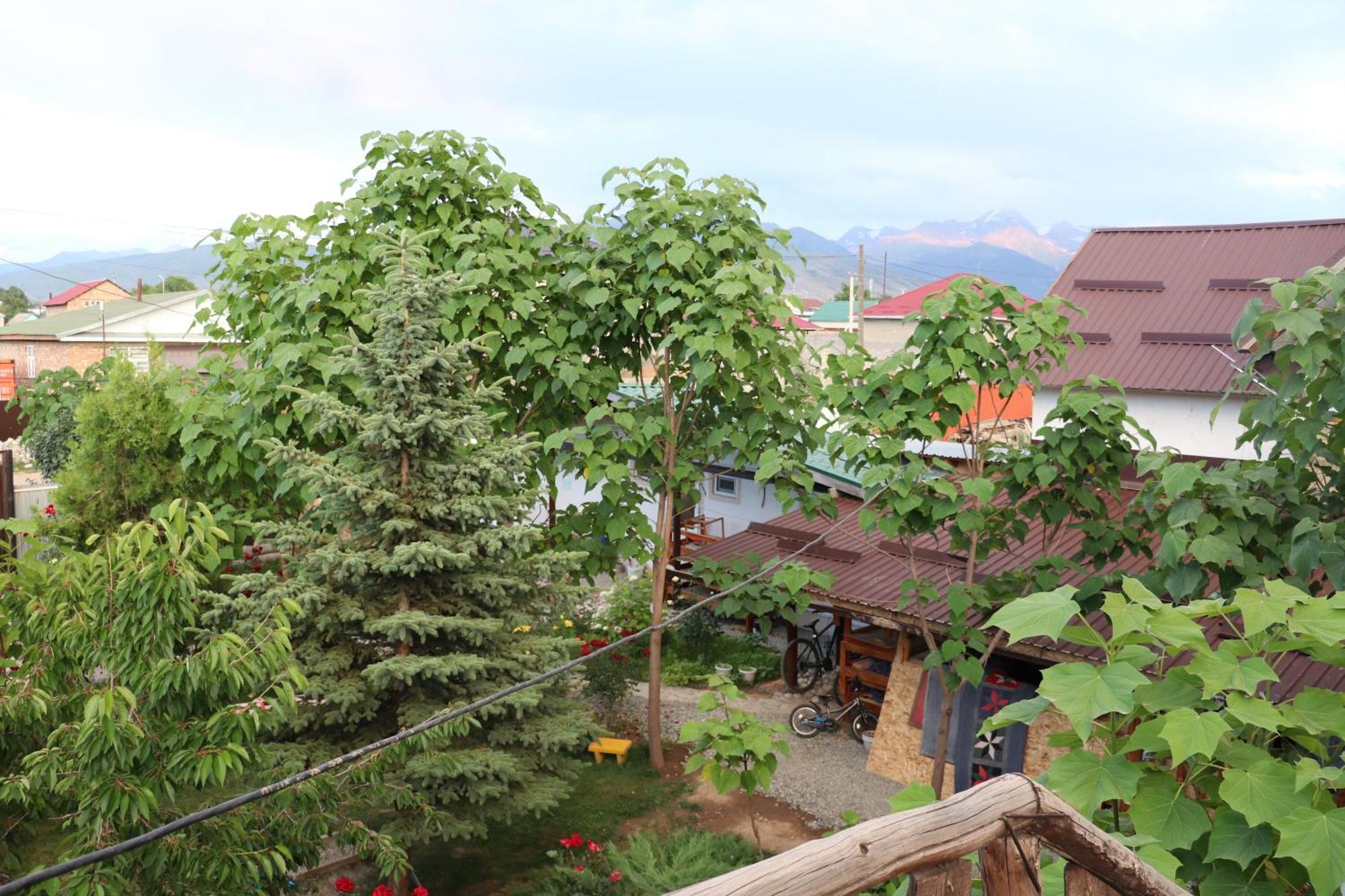 Happy Nomads Yurts & Hostel Karakol Bagian luar foto
