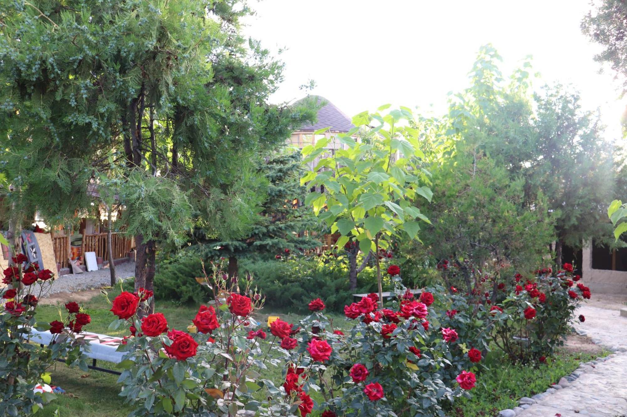 Happy Nomads Yurts & Hostel Karakol Bagian luar foto