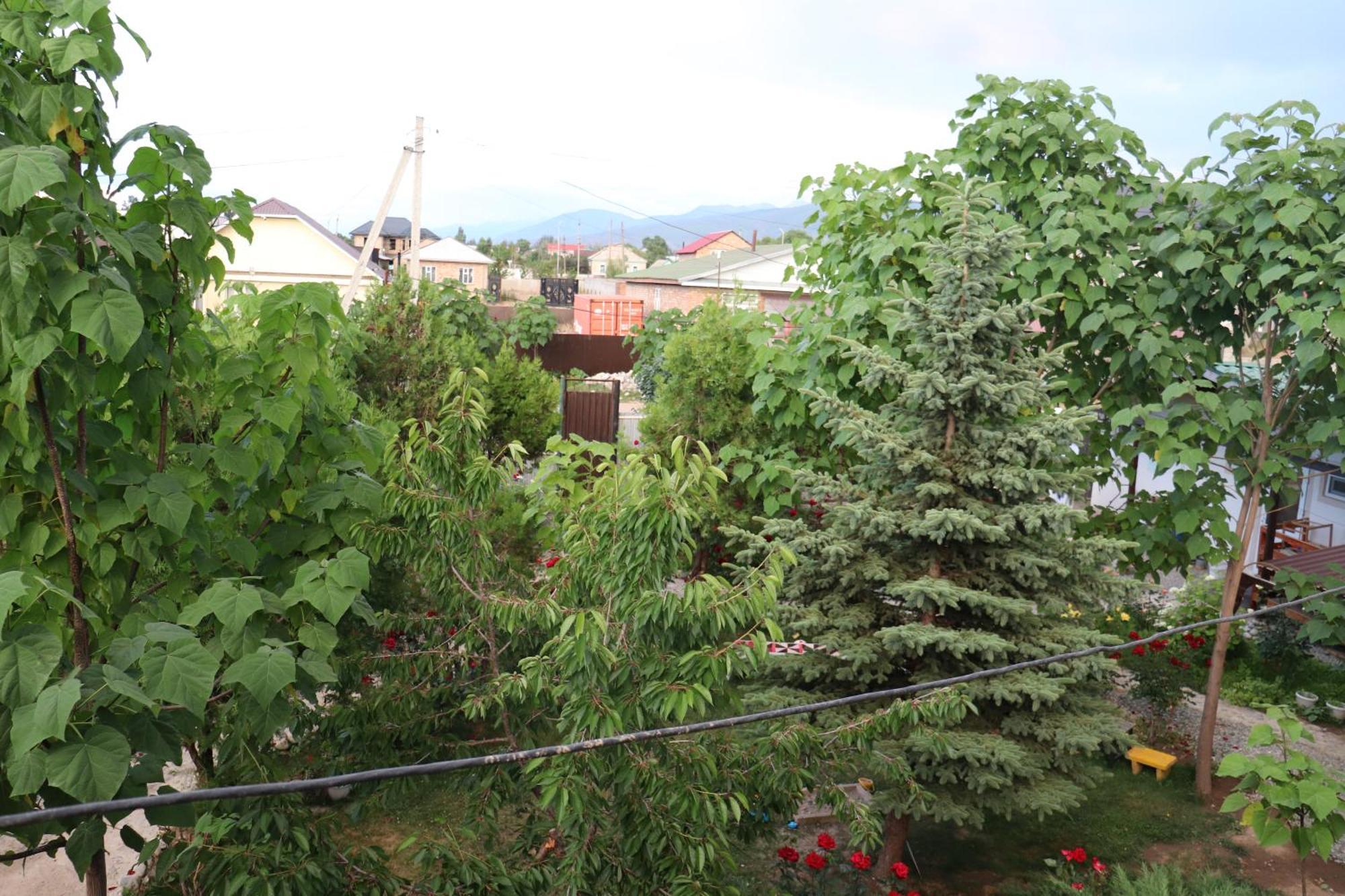 Happy Nomads Yurts & Hostel Karakol Bagian luar foto