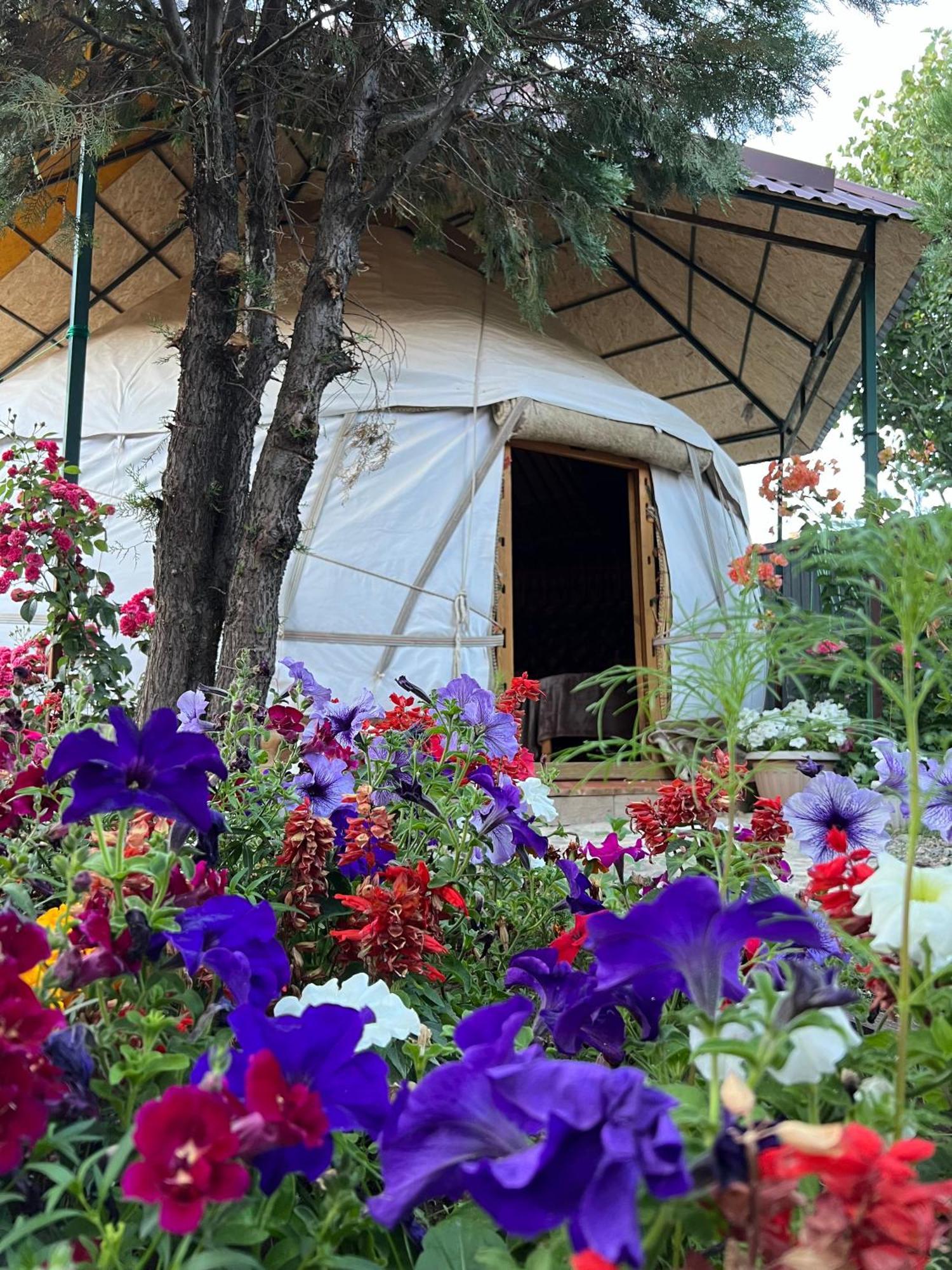 Happy Nomads Yurts & Hostel Karakol Bagian luar foto