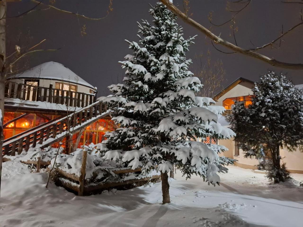 Happy Nomads Yurts & Hostel Karakol Bagian luar foto