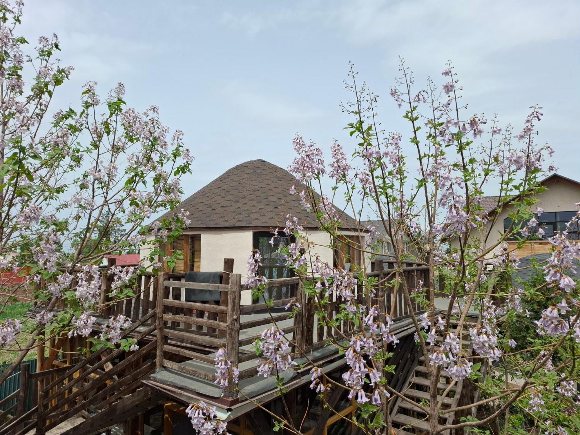 Happy Nomads Yurts & Hostel Karakol Bagian luar foto
