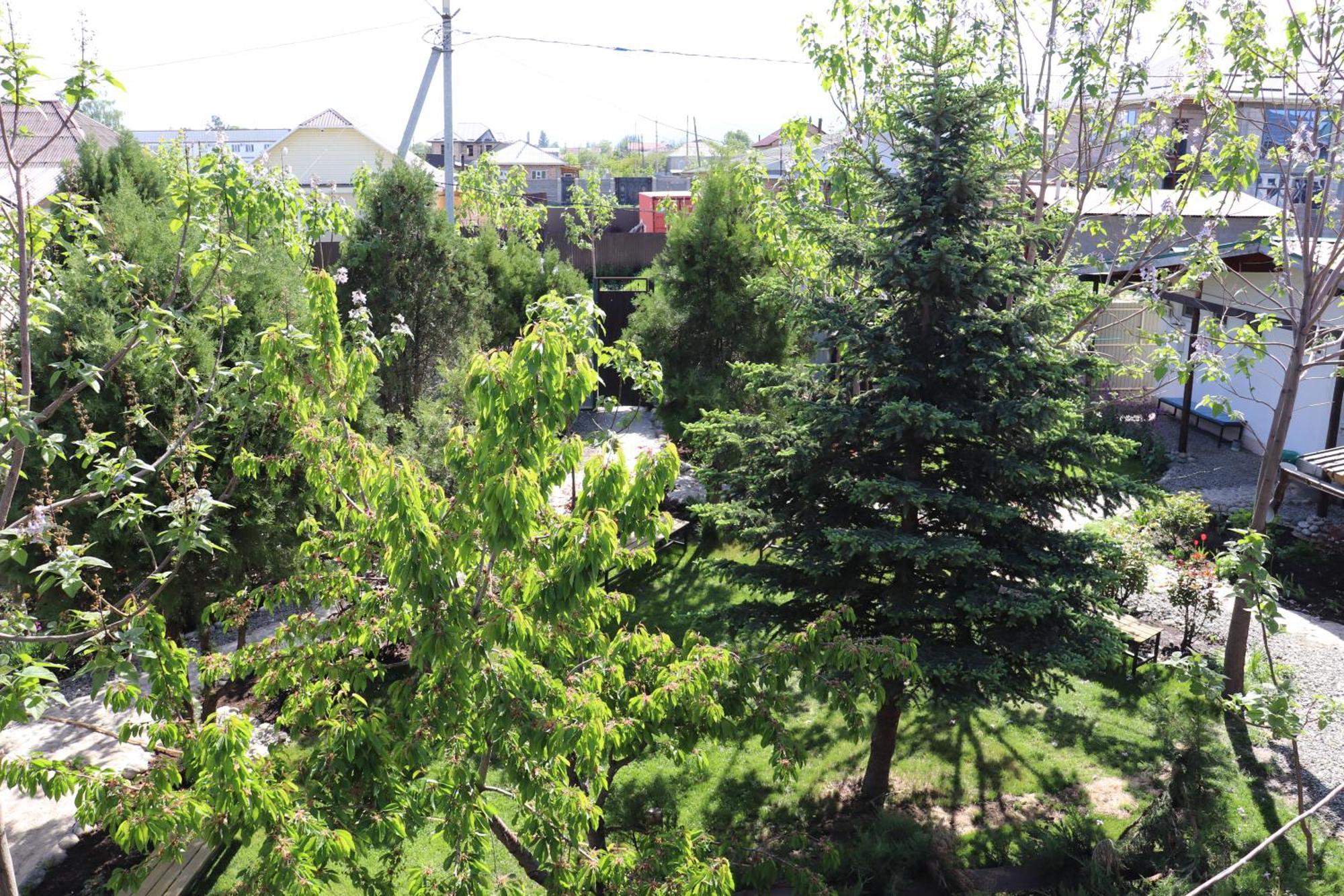 Happy Nomads Yurts & Hostel Karakol Bagian luar foto